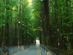 -青山湖景区