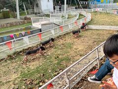 -湖南湘都生态农业园