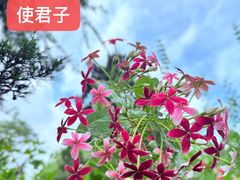 -东莞植物园
