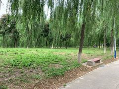 -秀水公园