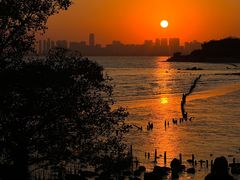 -深圳湾公园(南山区)