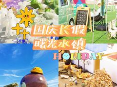 -曙光水镇