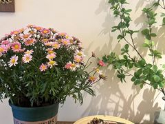 -Lazy Time Massage南亚按摩小馆(大悦城店)