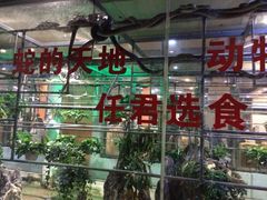 -荔城生鲜盛宴(番禺旗舰店)