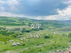 -草原天路(张北县)