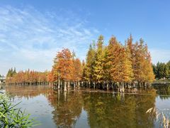 -白鹭湾湿地公园