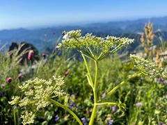-白草畔自然风景区