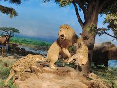 -国家自然博物馆