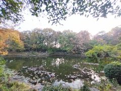 -灵谷景区