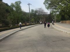 -延安杨家岭革命旧址