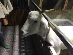 -上海大自然野生昆虫馆