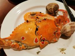 -上海龙之梦万丽酒店