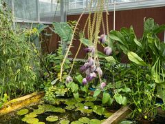 -北京植物园-展览温室