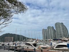 -三亚游船旅游中心(三亚鹿回头游艇游船公共码头店)