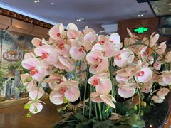 -八府香鸭·啫啫煲(华山路店)