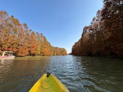 -上海海湾国家森林公园