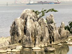-吴淞炮台湾湿地森林公园烧烤区