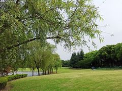 -黄兴公园