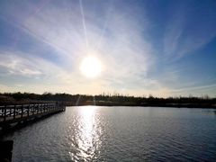 -西青郊野公园