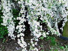 -杭州城北体育公园