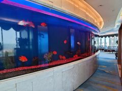 -黄金海景大酒店-旋转餐厅