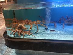 -阿伟海鲜楼·福建菜(延寿店)