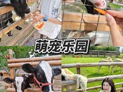 -上海山野camping·户外天幕烧烤·团建拓展营地