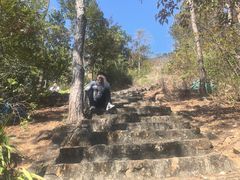 -风云岭森林公园