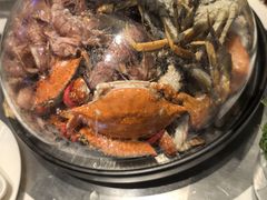 -半岛听涛蒸汽海鲜自助(K11店)
