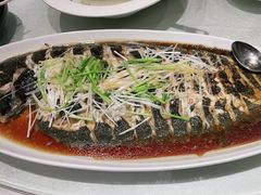 -中苑海韵