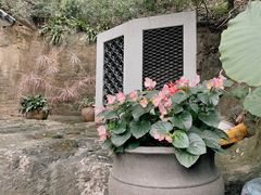 -广州莲花山旅游区