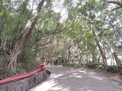 -佛山华盖山公园