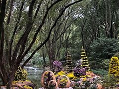 -上海共青森林公园