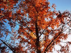 -北京植物园南门售票处