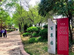 -洛阳市隋唐城遗址植物园