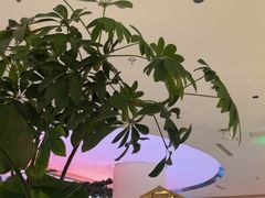 -桂满陇·手作小笼包&江南叫花鸡(中山公园店)