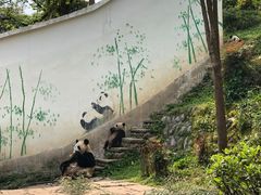 -碧峰峡风景区