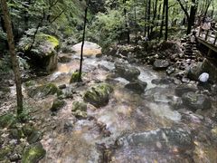 -牛背梁国家森林公园