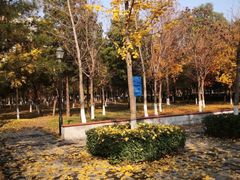 -庄怡公园