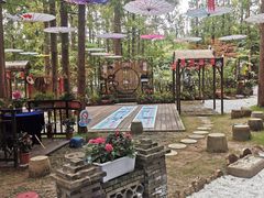 -东平国家森林公园