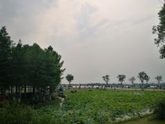 -滆湖低碳生态公园