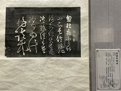 -西安碑林博物馆