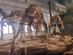 -自贡恐龙博物馆