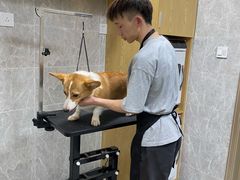 -爱佳宠物中心医院24H·CT·骨外科·猫专科(瑶海万达店)
