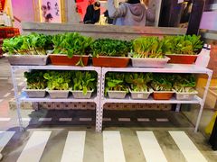 -捞围鲜·港式打边炉(海阳路店)