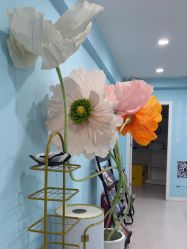 -斐尔国际皮肤管理中心