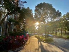 -中旅阿那亚九龙湖·公主酒店