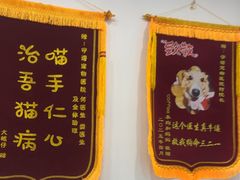 -守诺宠物医院·眼科· 神经外科·爬宠专科(虹口店)