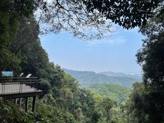 -广州市帽峰山景区
