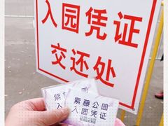 -嘉定紫藤园